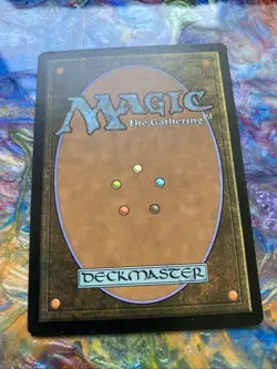 Magic the Gathering Palace Guard Card 2010 Tcg Regular - Image 2