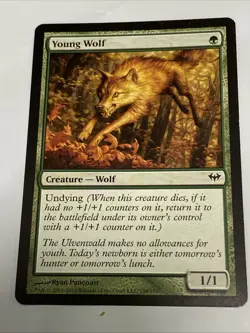 MTG 1x Young Wolf Dark Ascension card Magic The Gathering - Image 1