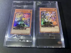 Dragon of Illumination,Sanctuary's Shield & ELTTAES, THE MASTER OF DUELS Yugioh - Image 1