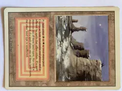 MTG Dual Lands - Plateau Taiga Savannah Scrubland - Image 1