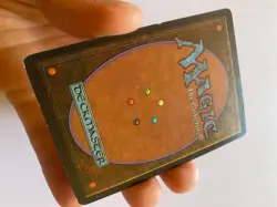 MTG Dual Lands - Plateau Taiga Savannah Scrubland - Image 3