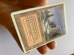 MTG Dual Lands - Plateau Taiga Savannah Scrubland - Image 5