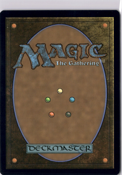 Rowan Scion Of War NM/M* Wilds Of Eldraine ENGLISH 0211 mtg -UnltdCards - Image 2