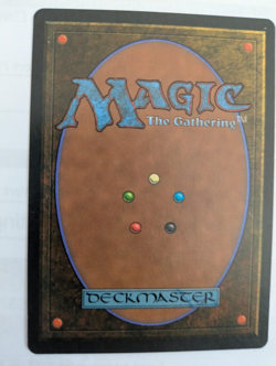 Italian Lady Evangela Legends MTG NM Free shipping with tracking - Image 2