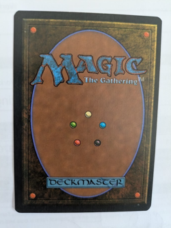 Italian Land Equilibrium Legends MTG very lightly played free shipping with trac - Image 2