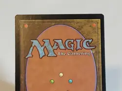 MTG Forest Portal 206 Regular Land Magic - Image 5