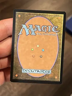 5x MTG Springleaf Drum ** Lorwyn ** English VLP - Image 3