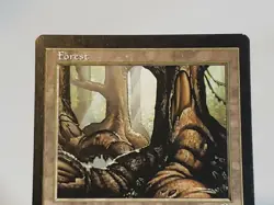 MTG Forest Tempest Regular Land Magic - Image 2