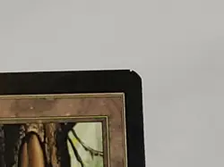 MTG Forest Tempest Regular Land Magic - Image 3