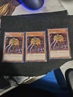 3X Ibicella Lutea - VASM-EN052 - Rare 1st Edition NM Yugioh Playset - Image 1