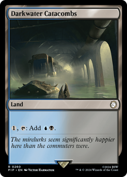 Darkwater Catacombs #260 | Near Mint | Fallout Magic MTG - Image 1