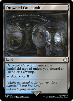 Drowned Catacomb #262 | Near Mint | Fallout Magic MTG - Image 1