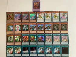 YUGIOH Ritual / Spiritual Beast Deck Complete 40 - Cards + Extra - Image 4