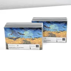 Pokemon Center x Van Gogh Museum Corviknight Wheatfield Crows Double Deck Box X2 - Image 1