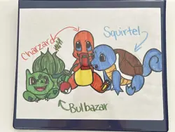 Pokemon Card Binder All Same Type Base+Holo PLUS 1/1 HAND DRAWN ARTWORK ON FRONT - Image 1