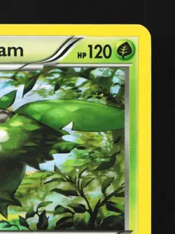 Wormadam 3/124 NM Fates Collide English Pokemon Card TCG - Image 5