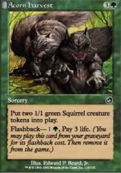 Light Play, English MTG Regular Acorn Harvest Torment Magic the Gathering - Image 1
