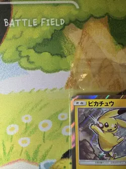 Pokemon Card Japanese Pikachu: AEON Limited Special Pack Promo 307/SM-P - Image 3