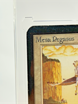 ALPHA - Mesa Pegasus - Played MTG Magic the Gathering 1993 Card Magnetic Holder - Image 2