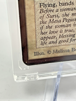 ALPHA - Mesa Pegasus - Played MTG Magic the Gathering 1993 Card Magnetic Holder - Image 3
