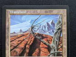 Wasteland - Tempest - NM - MTG - Magic the Gathering - Land - Image 3