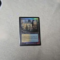 Hallowed Fountain #404 - Ravnica Remastered - Shock Land - NM - MTG Rare - CB - Image 1