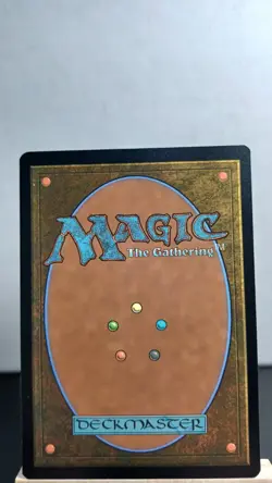 World Map Non-Foil Common [NM] - MTG FIN - Image 2
