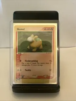 Pokemon Lot Of 23 Cards- Vintage-Modern-Full Art-Fossil-Base Set-English And JP- - Image 3