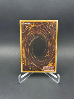 D/D/D Stone King Darius - MACR-EN045 - Rare - 1st Edition - Yugioh - Image 2