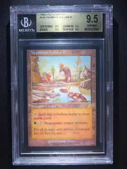 MTG Urza's Destiny Yavimaya Hollow BGS 9.5 QUAD Gem Mint - Image 1