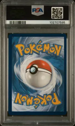 2024 Pokemon Scr En-Stellar Crown #148 Squirtle Illustration Rare PSA 10 - Image 2