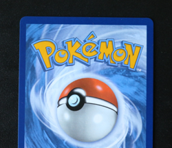 Pokemon Card TCG - Cynthia's Garchomp EX SVP 204 - Black Star Promo - NM ⭐ - Image 5