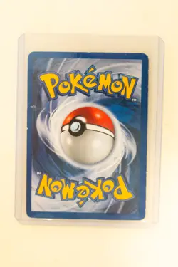 Pokemon - Venusaur Holo - Wizards Of The Coast WotC Black Star Promo #13 - HP - Image 2