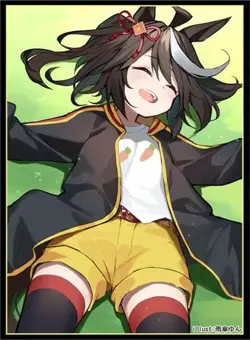 Uma Musume Pretty Derby Kitasan Black doujin Card Sleeve Protector - Image 1