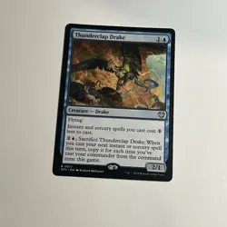 Thunderclap Drake 0017 Non Foil Rare Outlaws of Thunder Junction MTG NM - Image 1