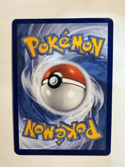 Pokemon SHINY FIDOUGH SVP 069 - Paldean Fates - HOLO PROMO MINT - Image 2