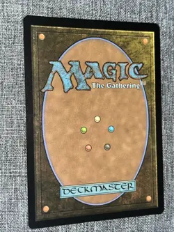 L 0262 Plains FOIL BORDERLESS Full Art Land Edge of Eternities EOE MTG Card - Image 2
