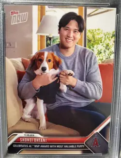 Psa10 Shohei Ohtani Offseason Card Mvp Commemoration 2023 - Image 3