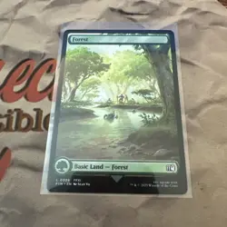 MTG Forest (0308) Final Fantasy Regular - Image 1