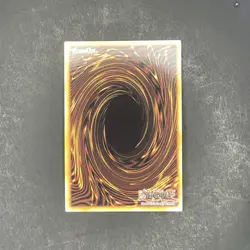 Yugioh! D/D Swirl Slime - Platinum Secret Rare - RA04-EN258 1st Edition NM - Image 2