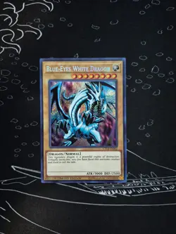 Yugioh! Blue-Eyes White Dragon CT14-EN002 Secret Rare - Image 1