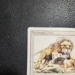 Magic the Gathering MTG Savannah Lions EX - Image 3