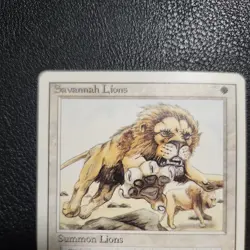 Magic the Gathering MTG Savannah Lions EX - Image 4