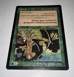 MTG X1 * Norwood Archers NM Plus NP Portal Second Age Regular SellbyCyn - Image 5