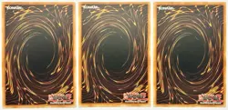 3 x MP20-EN070 Xtra HERO Cross Crusader - Common 1st Edition Near Mint YuGiOh - Image 2