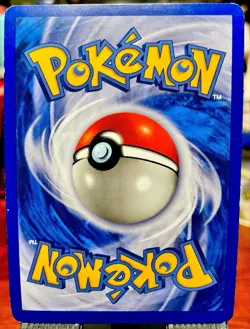 Pokemon - Buizel DP13 - Diamond & Pearl Black Star Promo - Cosmos HOLO - 2007 LP - Image 5