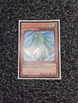 Yugioh Raiza The Storm Monarch PGLD-EN062 Gold Rare 1st Edition Near Mint - Image 1