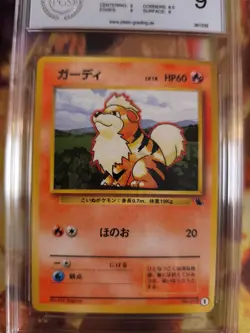 Pokemon Card Fukano Growlithe Intro Pack Squirtle Deck Japanese PSA / PGS 9 - Image 3