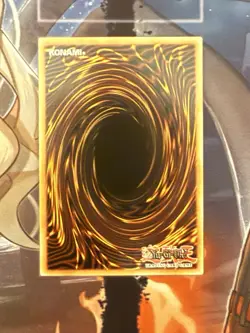 Yugioh! Dracotail Mululu Ultra Rare Near Mint 1st Edition JUSH-EN005 - Image 2