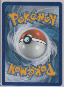 Pikachu VMax SWSH286 Pokemon Sword & Shield Black Star Promo - Image 2